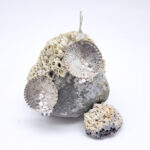 Large circular textured silver earrings with white and pink beaded detail